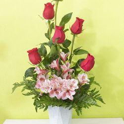 Ventura 9 Rosas